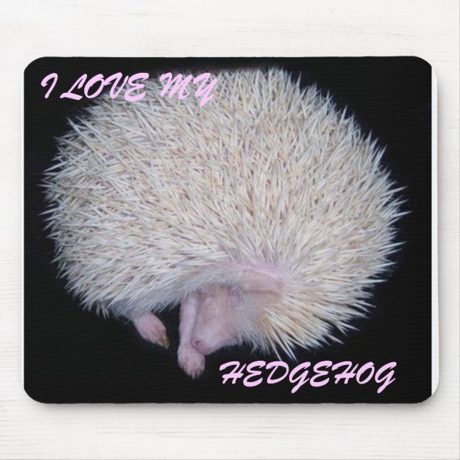 I LOVE MY HEDGEHOG MOUSE PAD (Front)