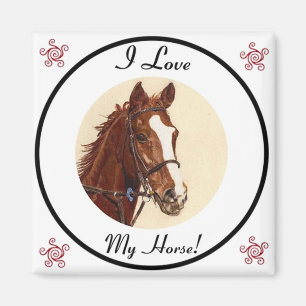 I Love My Horse! Equestrian Magnet
