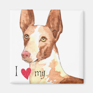 I Love my Ibizan Hound Magnet