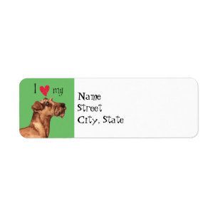 I Love my Irish Terrier