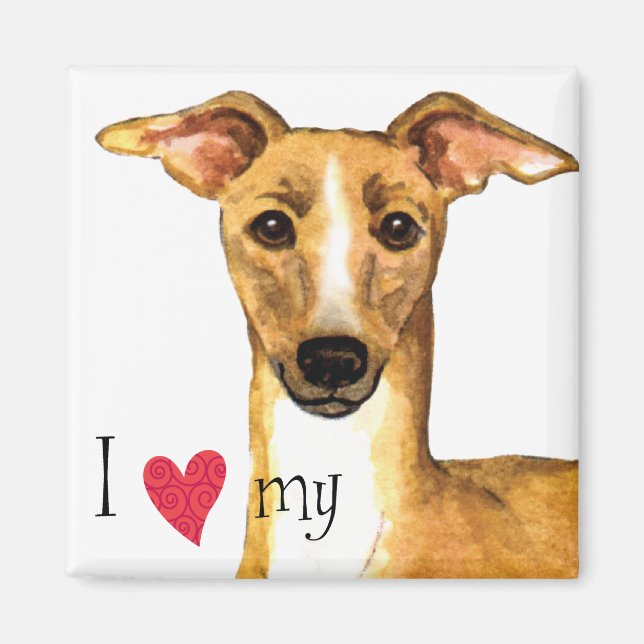 I Love my Italian Greyhound Magnet (Front)