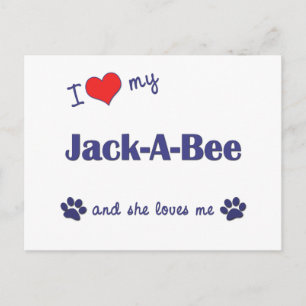 I Love My Jack-A-Bee (Female Dog) Postcard