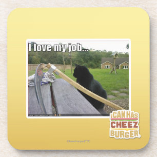 I love my job coaster