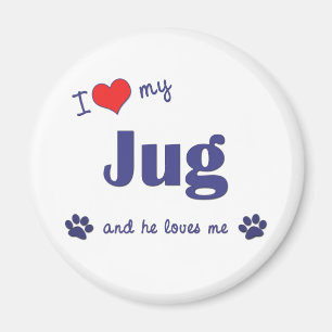 I Love My Jug (Male Dog) Magnet