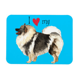I Love my Keeshond Magnet