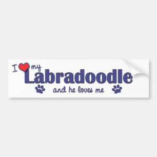 I Love My Labradoodle (Male Dog) Bumper Sticker