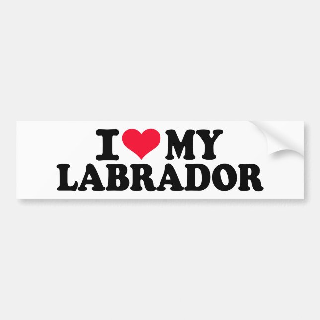 I love my Labrador Bumper Sticker (Front)