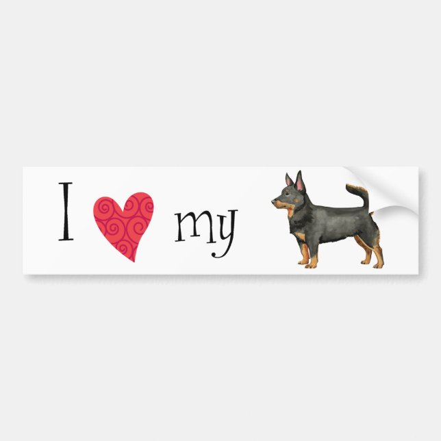 I Love my Lancashire Heeler Bumper Sticker (Front)