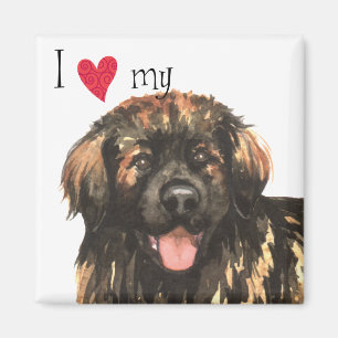 I Love my Leonberger Magnet