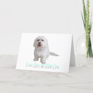 I Love My Little White Dog - Havanese Card