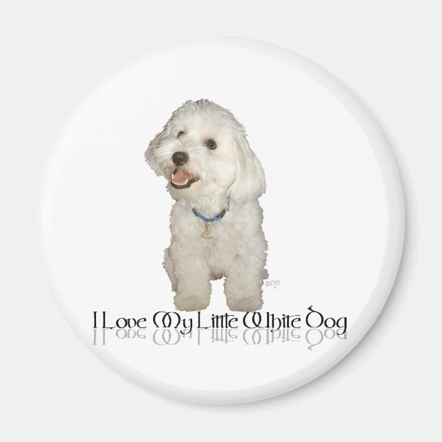 I Love My Little White Dog - Havanese Magnet (Front)