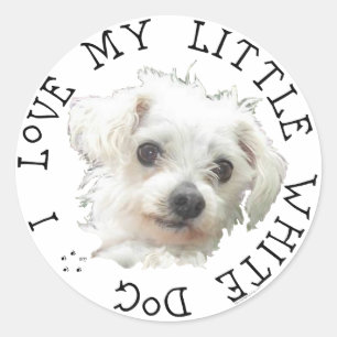 I Love My Little White Dog - Maltese Classic Round Sticker