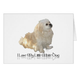I Love My Little White Dog - Pekingese !