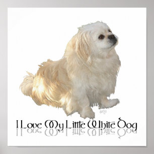 I Love My Little White Dog - Pekingese ! Poster