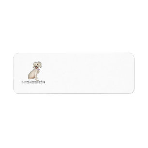I Love My Little White Dog - Poodle / Bichon Mix