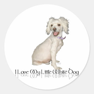 I Love My Little White Dog - Poodle / Bichon Mix Classic Round Sticker
