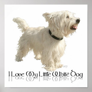 I Love My Little White Dog - Westie Poster