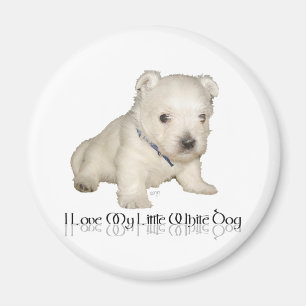 I Love My Little White Dog - Westie Puppy Magnet
