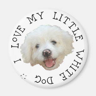 I Love My Little White Rescue Dog Magnet