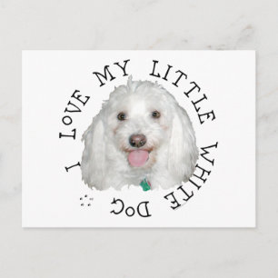 I Love My Little White (Rescue) Dog Postcard