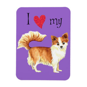 I Love my Long Coat Chihuahua Magnet