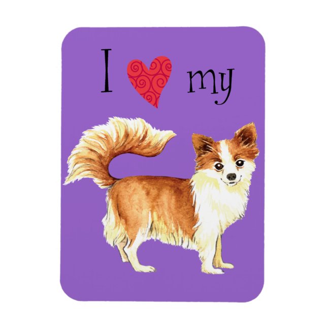 I Love my Long Coat Chihuahua Magnet (Vertical)