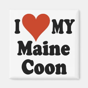 I Love My Maine Coon Cat Gifts and Apparel Magnet