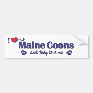 I Love My Maine Coons (Multiple Cats) Bumper Sticker