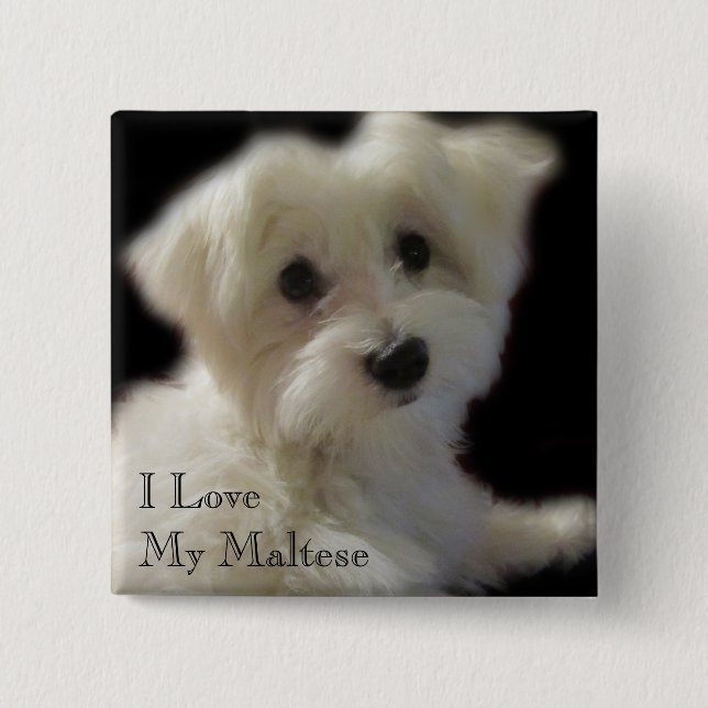 I Love My Maltese Button (Front)
