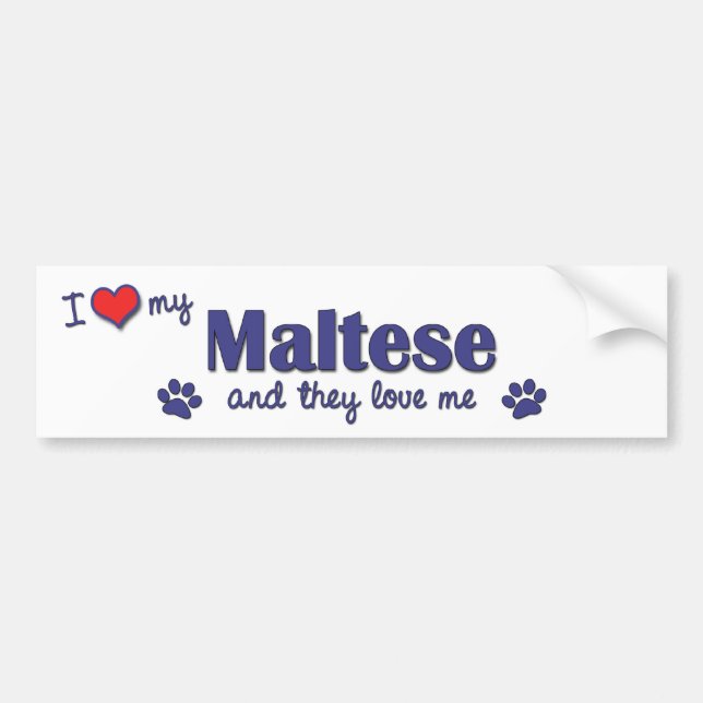 I Love My Maltese (Multiple Dogs) Bumper Sticker (Front)