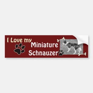 I love my Miniature Schnauzer Bumper Sticker