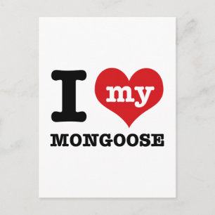 I love my mongoose postcard