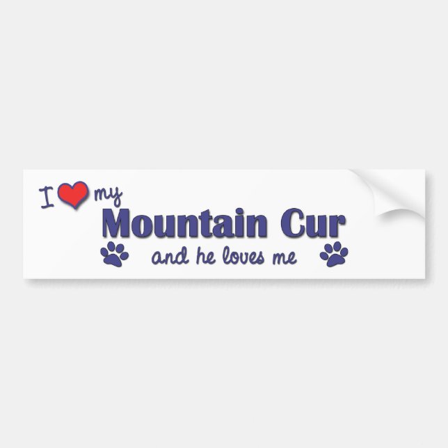 I Love My Mountain Cur (Male Dog) Bumper Sticker (Front)