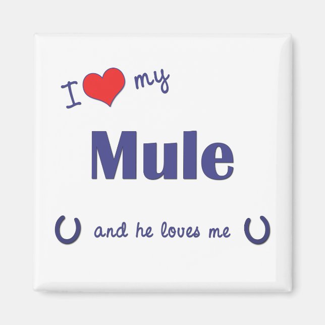I Love My Mule (Male Mule) Magnet (Front)