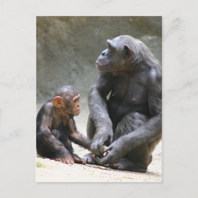 'I love my mum' Postcard (Front)