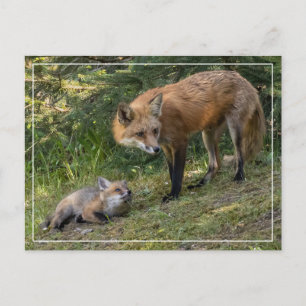 I Love My Mum Postcard