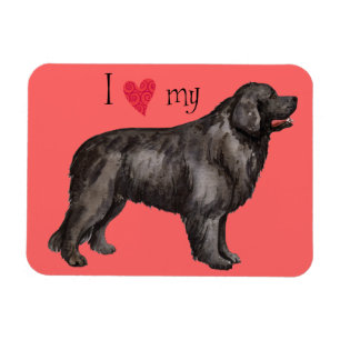 I Love my Newfoundland Magnet