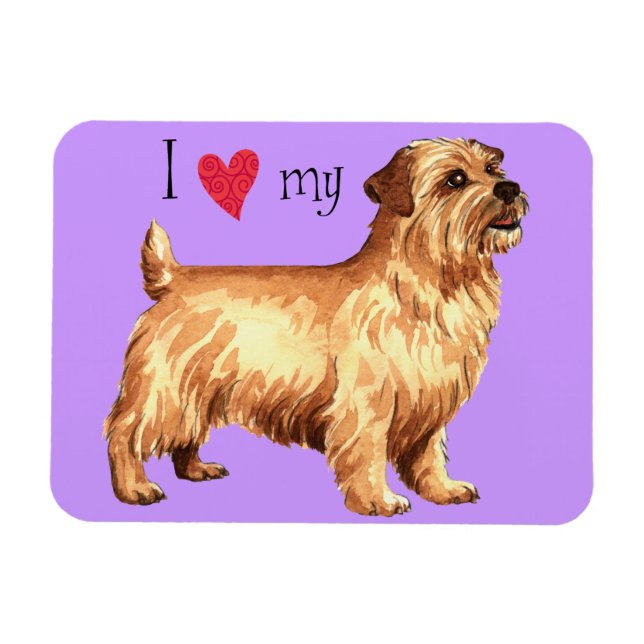 I Love my Norfolk Terrier Magnet (Horizontal)
