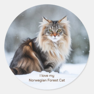 I Love My Norwegian Forest Cat In The Snow  Classic Round Sticker