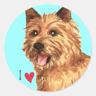 I Love my Norwich Terrier Classic Round Sticker