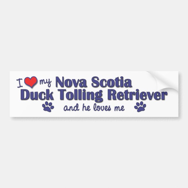 I Love My Nova Scotia Duck Tolling Retriever (He) Bumper Sticker (Front)