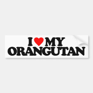 I LOVE MY ORANGUTAN BUMPER STICKER