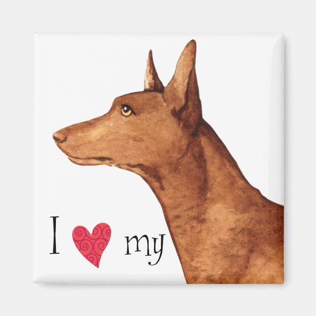 I Love my Pharaoh Hound Magnet (Front)
