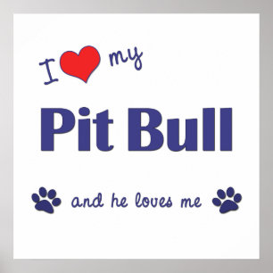 I Love My Pit Bull (Male Dog) Poster