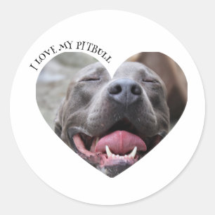 I love my pitbull dog custom photo classic round sticker
