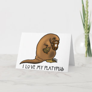 I Love my Platypus Card