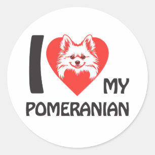 I Love My Pomeranian – Cute Fluffy Dog Lover Gift Classic Round Sticker