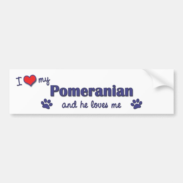 I Love My Pomeranian (Male Dog) Bumper Sticker (Front)