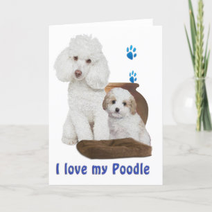 I love my Poodle Card
