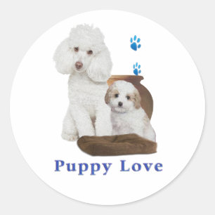 I love my Poodle Classic Round Sticker